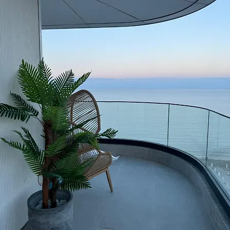 Tomis View